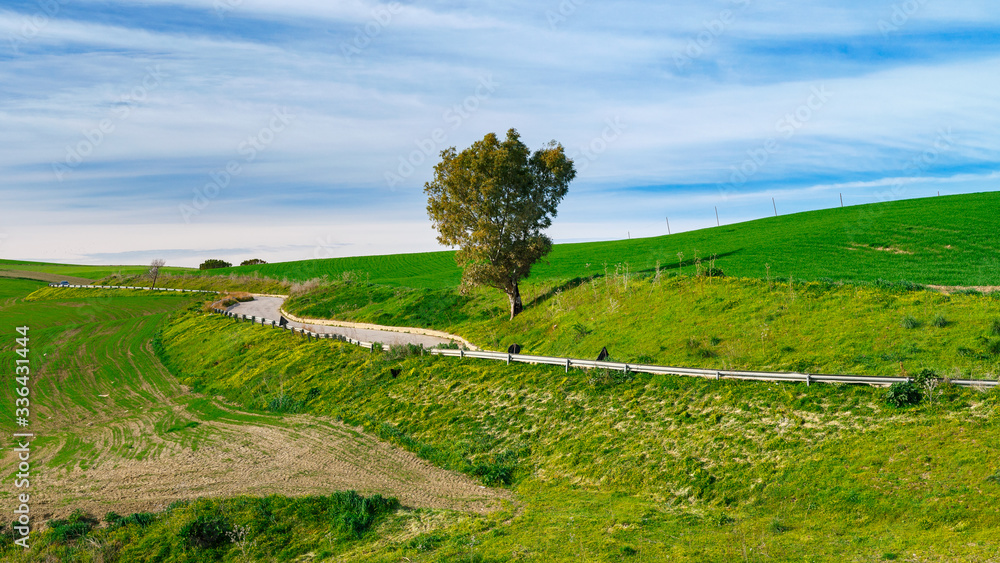 spring landscapes in Sicily, Italy