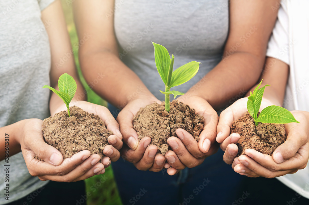 People Hands holding young Plant and standing group. nurture Environmental concept