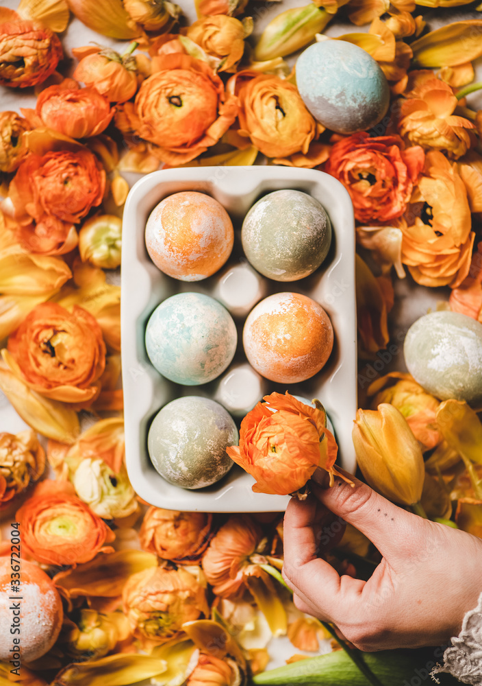 Flat-lay of womans hand holding ranunculus flower over dyed Easter eggs in white ceramic egg holder 