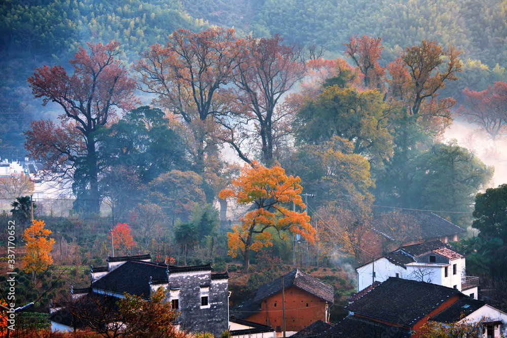 The morning fog on the dwellings of Anhui buildings in Wuyuan county Jiangxi province, China.