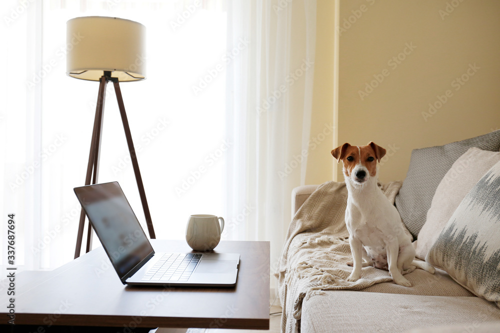 Home office concept. Designated work from home area in living room. Modern laptop and cup of hot bev