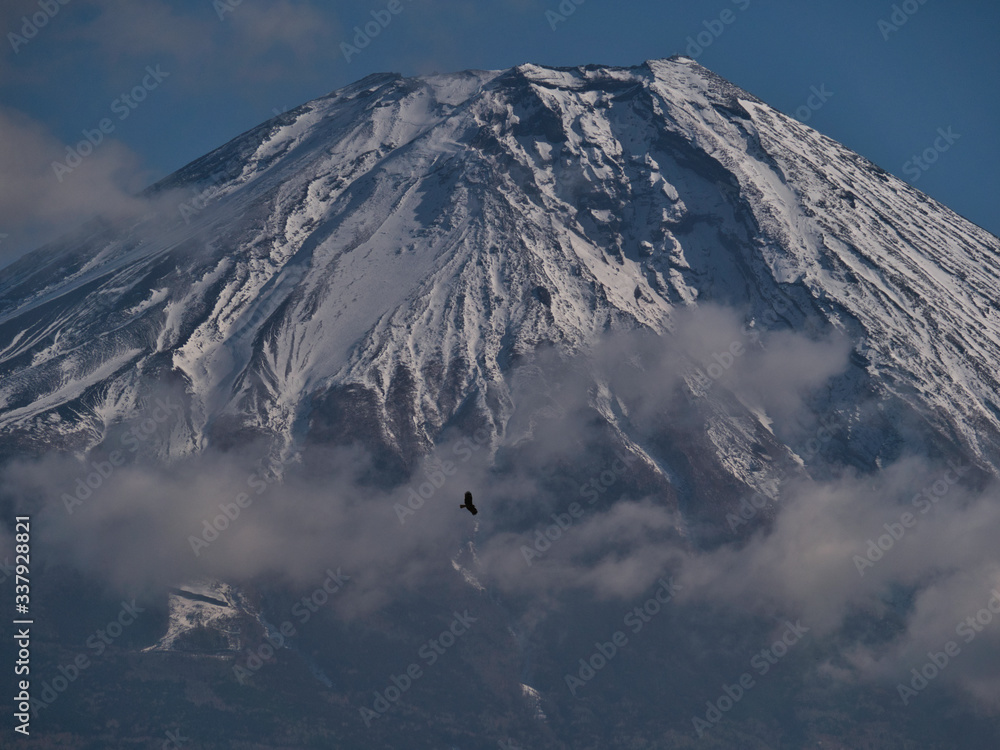 雄大な富士山