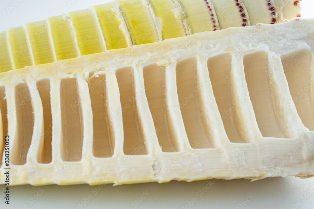 Fresh bamboo shoots peeled on white background