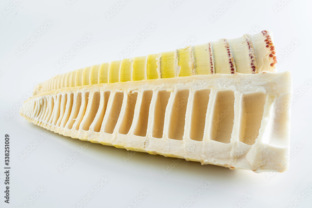 Fresh bamboo shoots peeled on white background