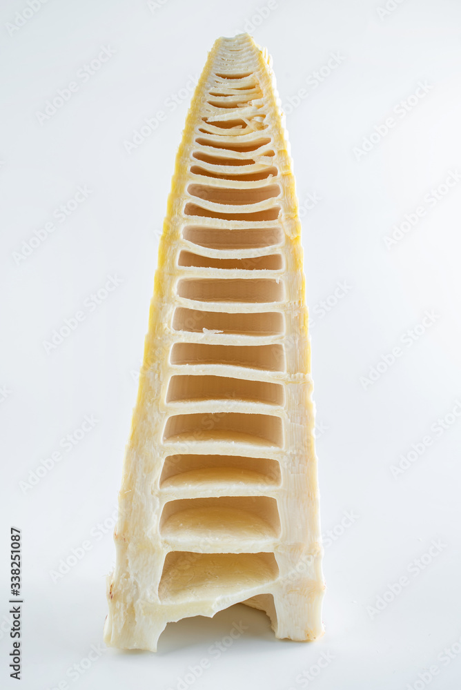 Fresh bamboo shoots peeled on white background