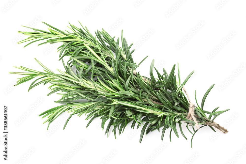 Fresh rosemary on white background