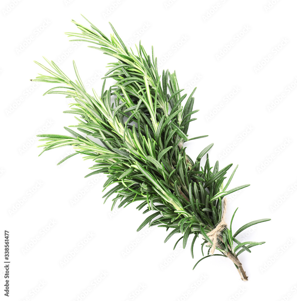 Fresh rosemary on white background