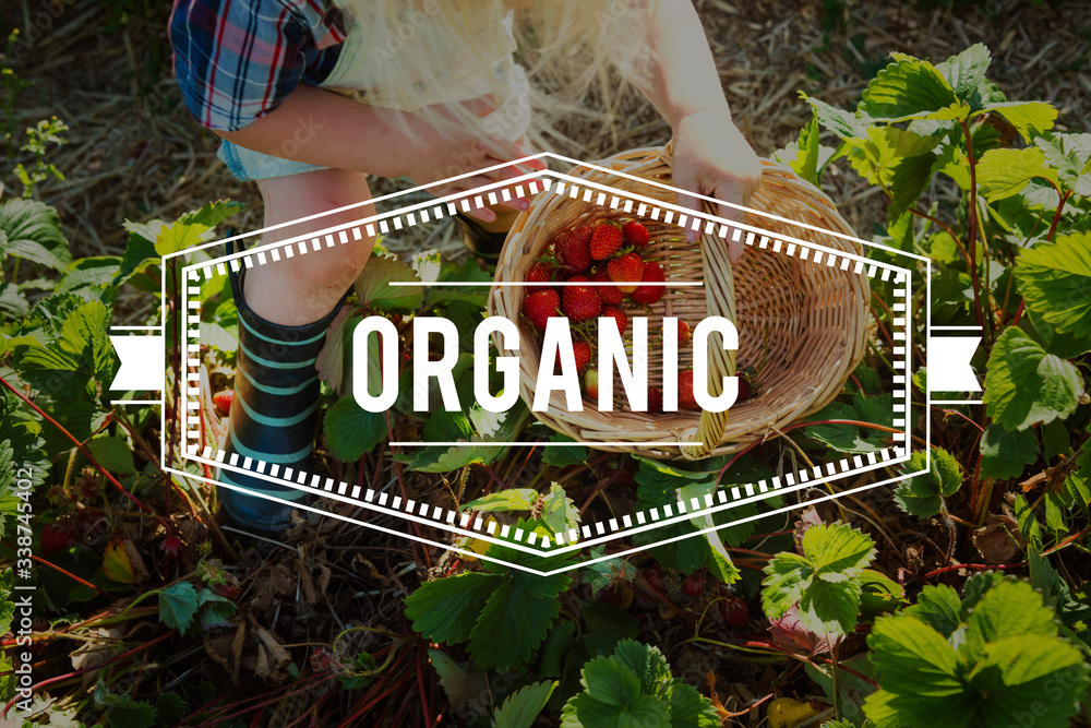 100% Nature Organic Freshly Picked Healthy Eating