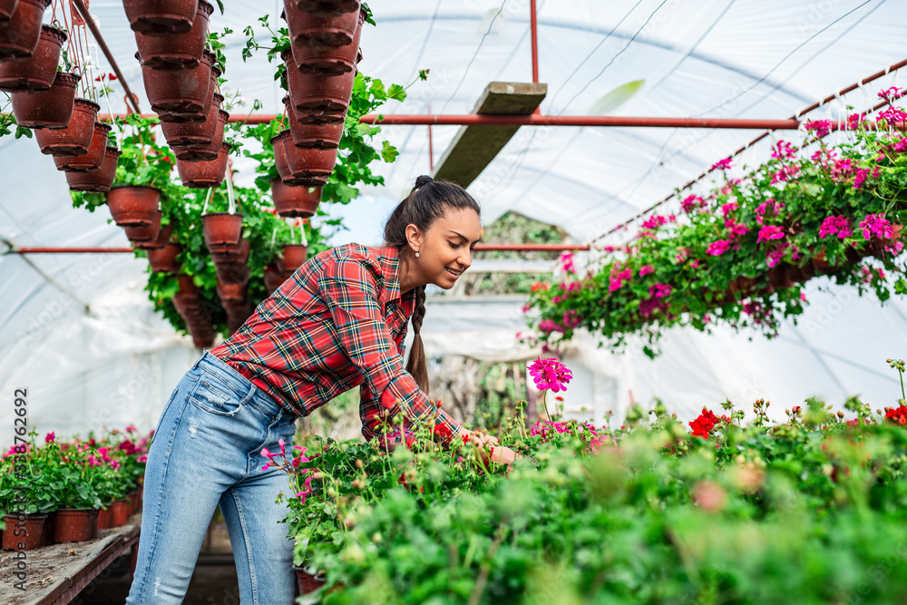 Smiling young woman holding potted flower in a greenhouse..