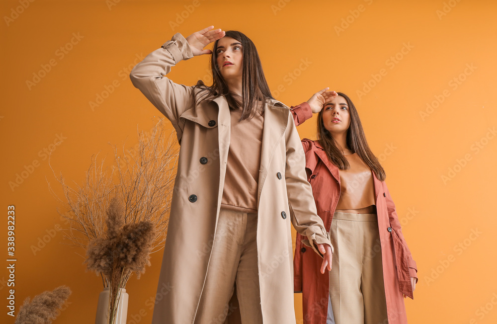 Stylish young women in room