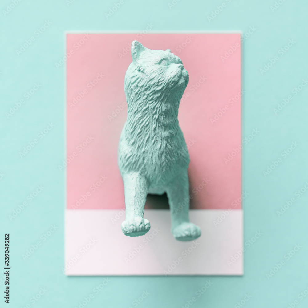 Mint green cat