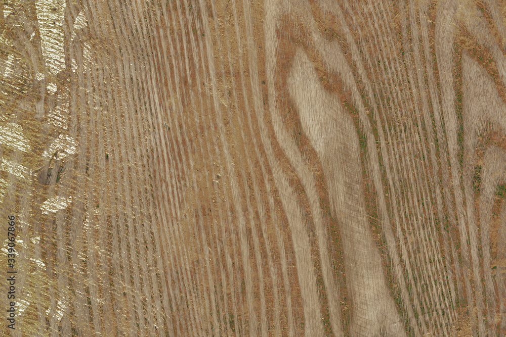 Wood texture background | Old plank design