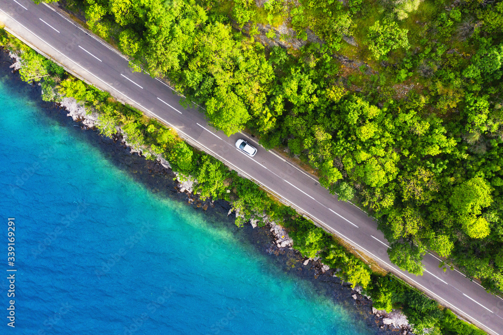 森林中道路的鸟瞰图。穿过森林和海岸的高速公路。无人机视图。Natura