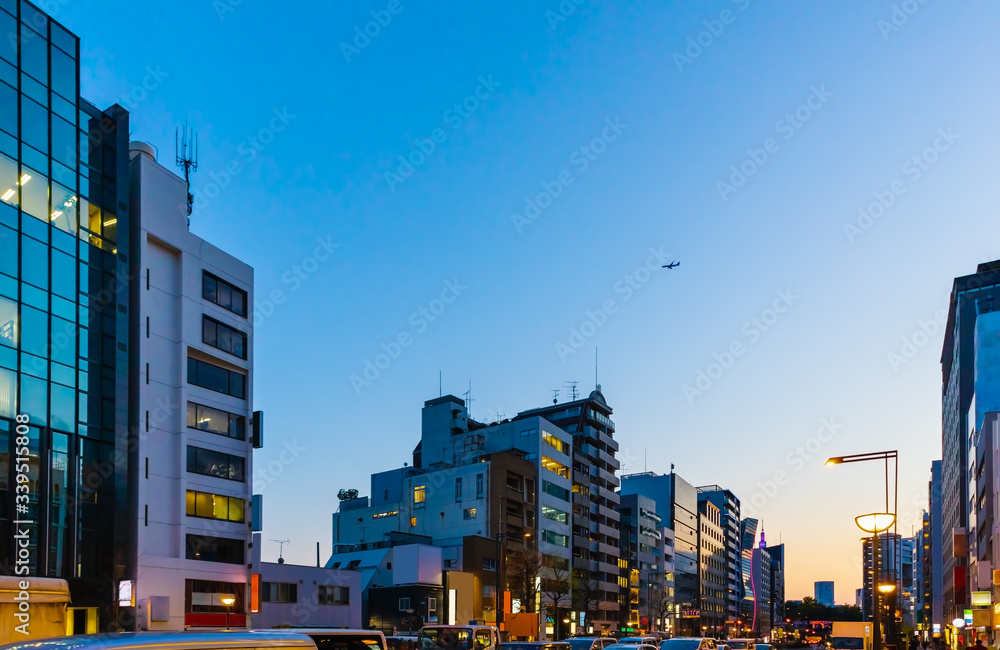 東京の夕暮れの空と飛行機