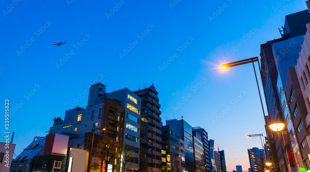 東京の夕暮れの空と飛行機