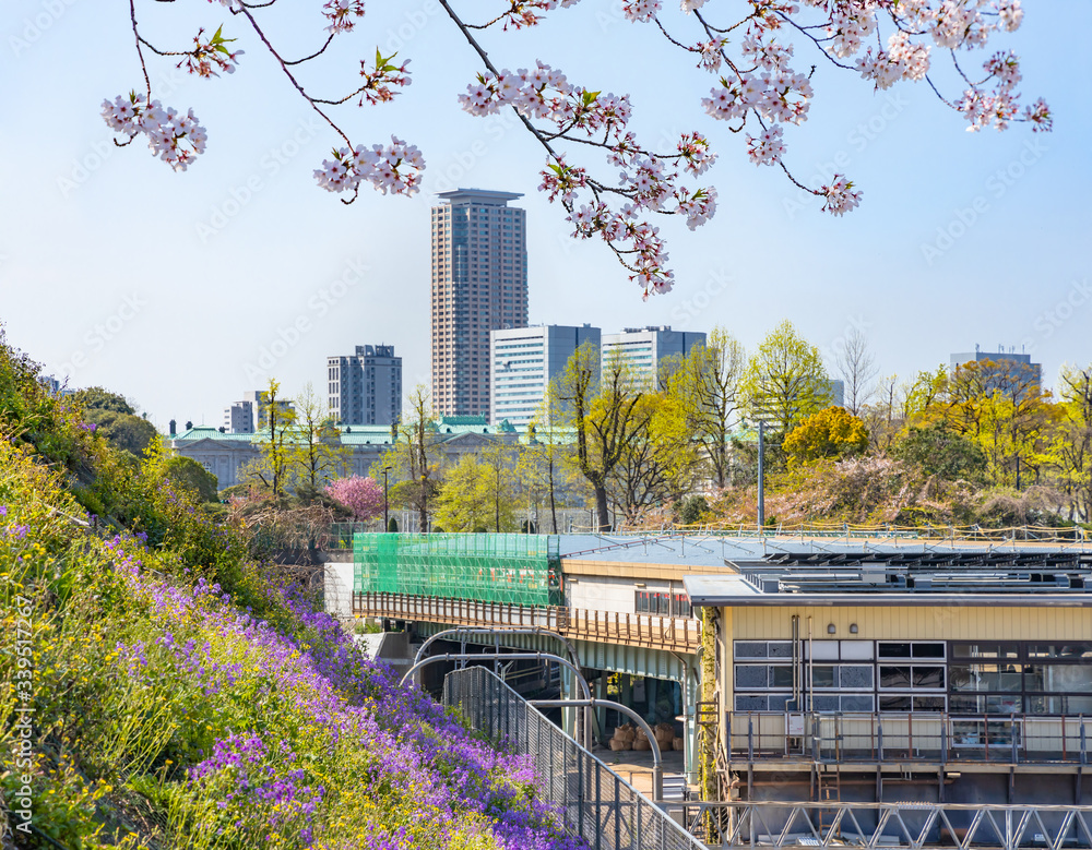 東京の高層ビルと桜