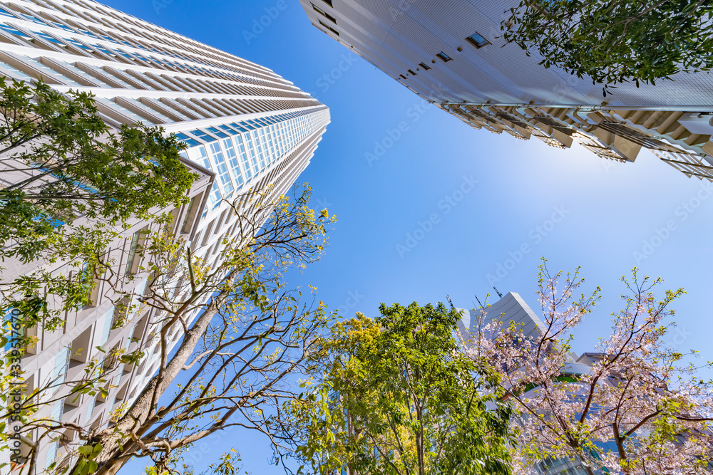 東京の高層ビルと桜