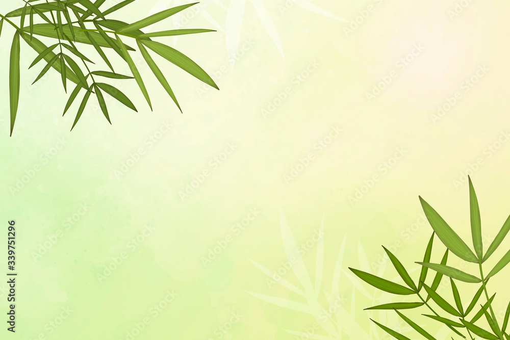 Bamboo leaf background