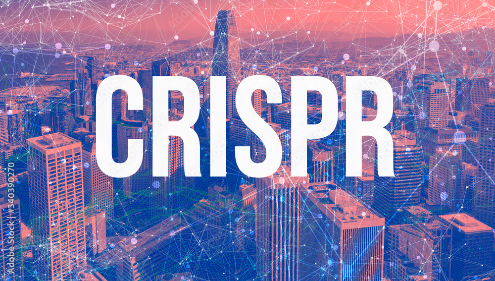 Crispr theme with abstract network patterns and downtown San Francisco skyscrapers