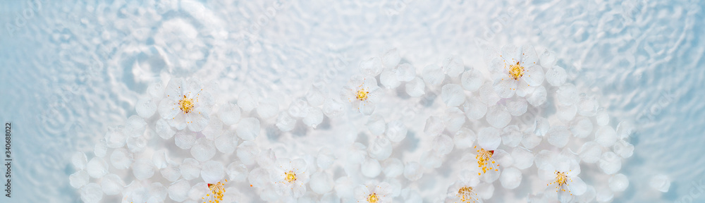 white flowers on the water with highlights and drops. the concept of care and cleansing. a panoramic