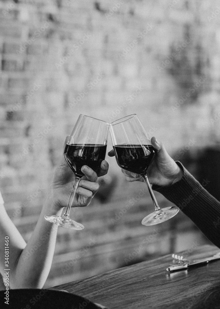 Couple making a toast 