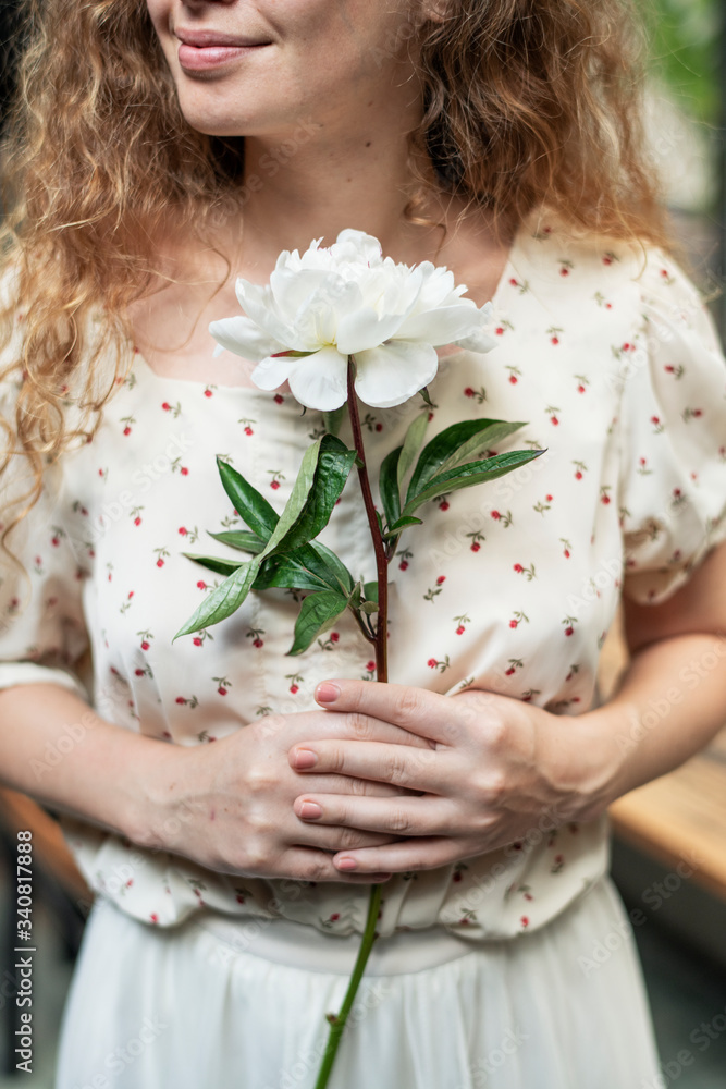 White peony flower