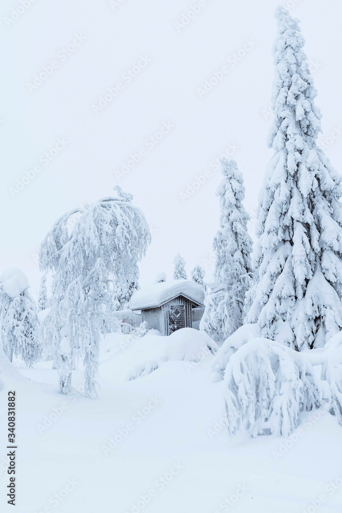 雪地森林中的小木屋