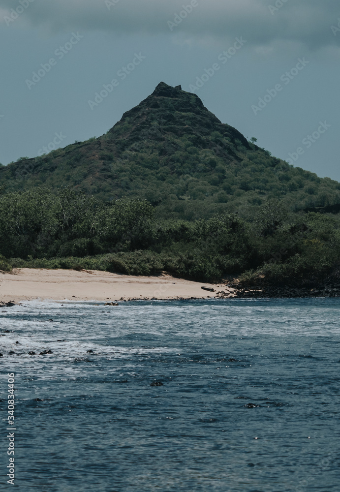 The Galapagos Islands