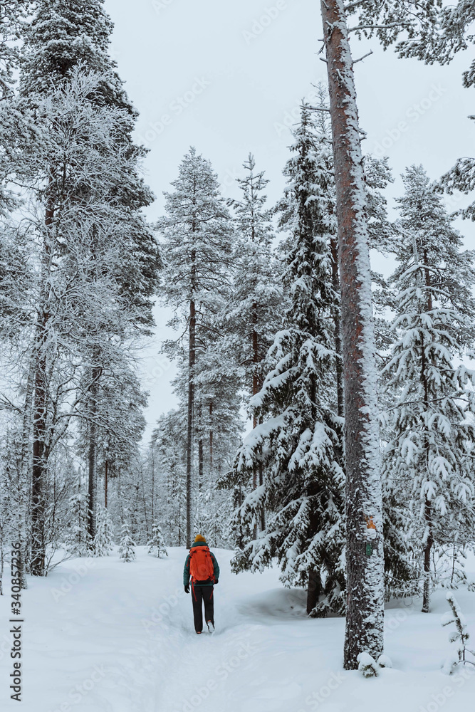 Landscape photographer trekking in a snowy Lapland, Finland