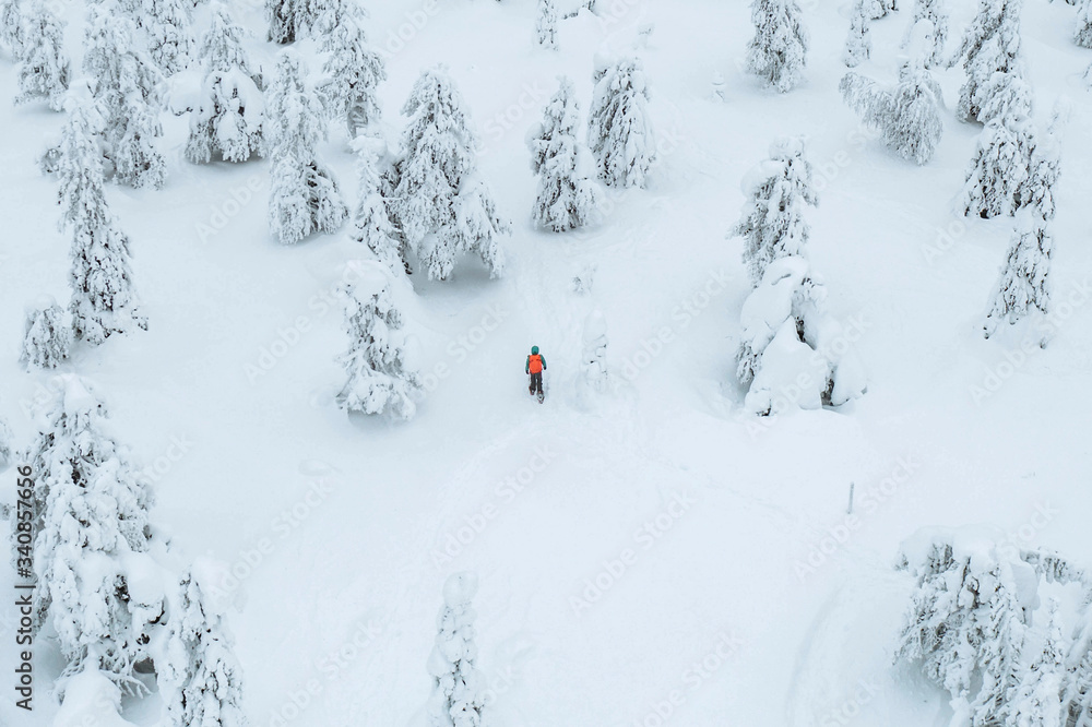 芬兰拉普兰，人们在雪地森林中徒步旅行的无人机镜头