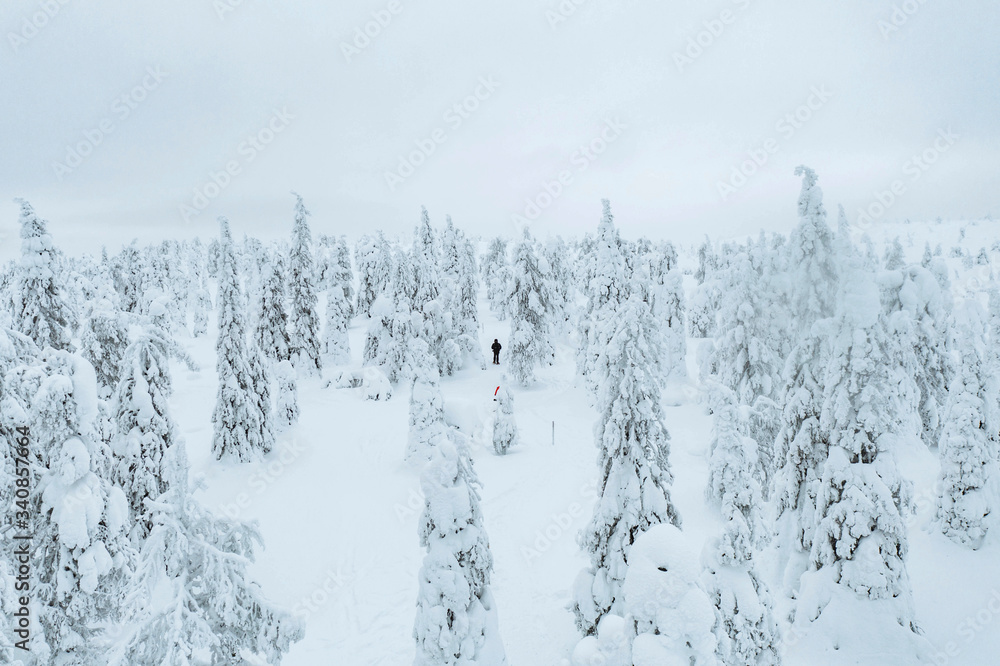 芬兰拉普兰，人们在雪地森林中徒步旅行的无人机镜头