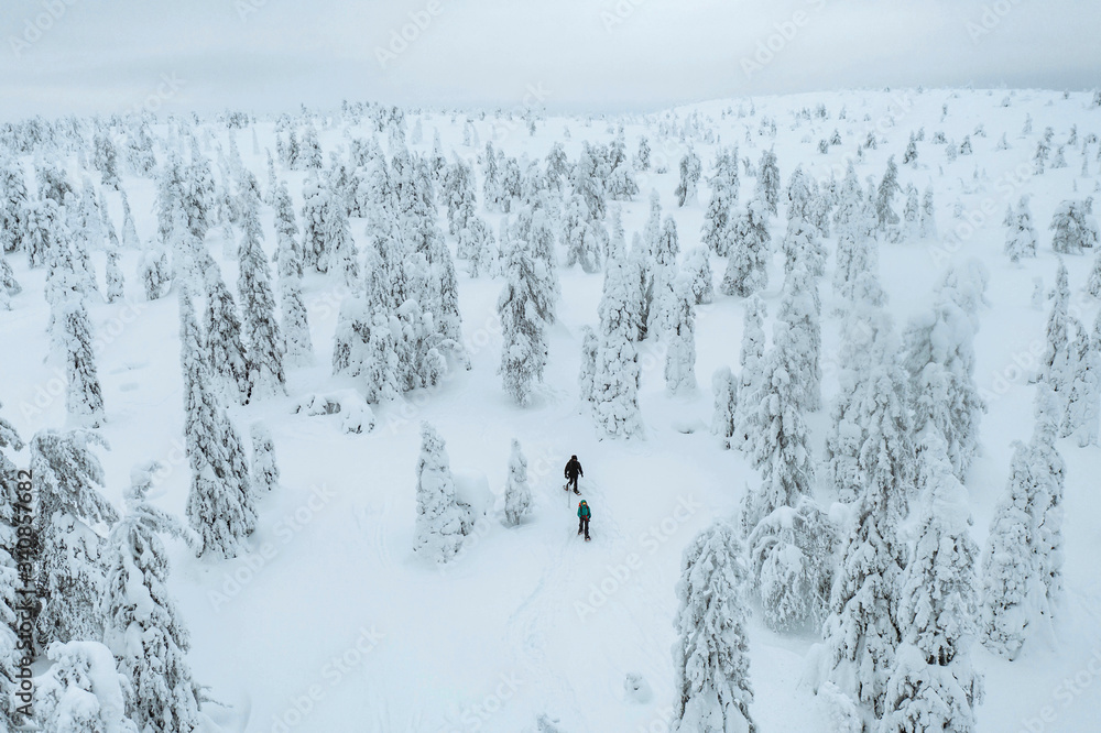 芬兰拉普兰，人们在雪地森林中徒步旅行的无人机镜头