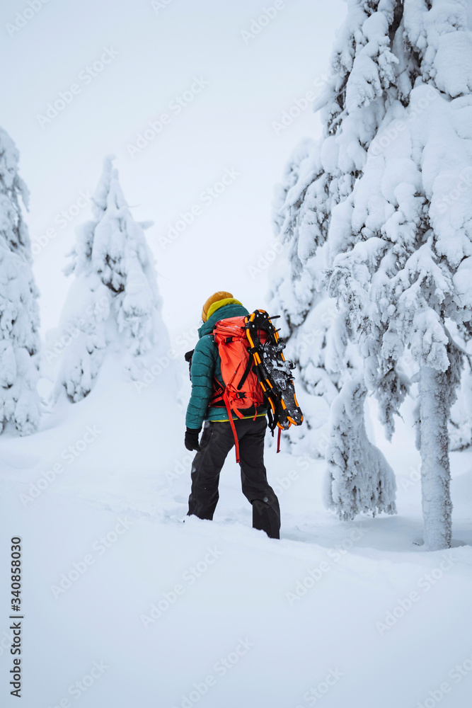 Woman trekking through a snow covered Lapland, Finland