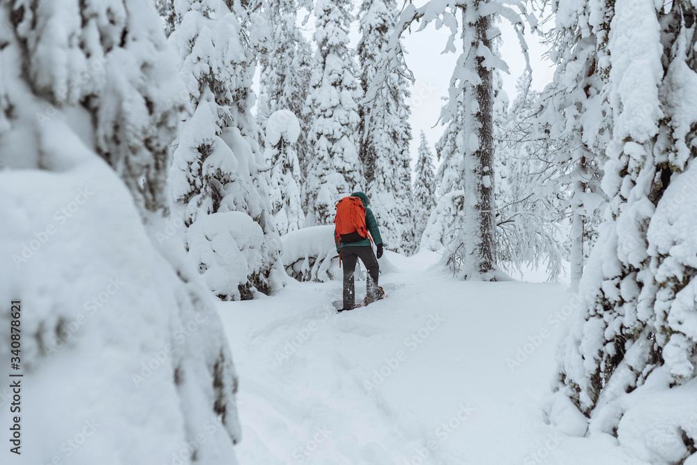 Woman trekking through a snow covered Lapland, Finland