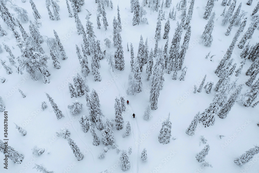 芬兰拉普兰，人们在雪地森林中徒步旅行的无人机镜头