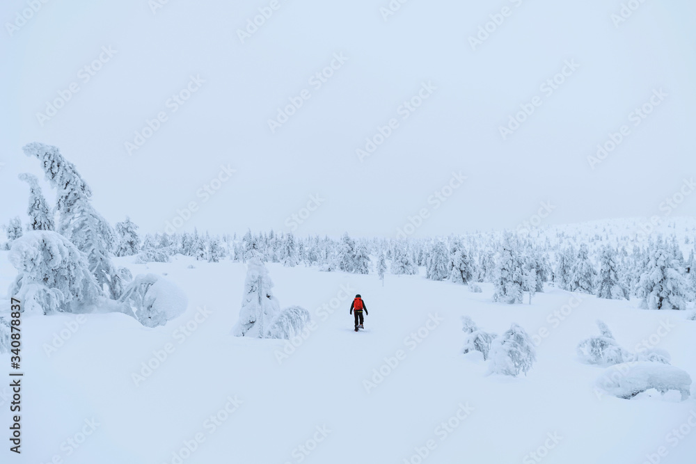 登山者在芬兰拉普兰的雪地里徒步旅行