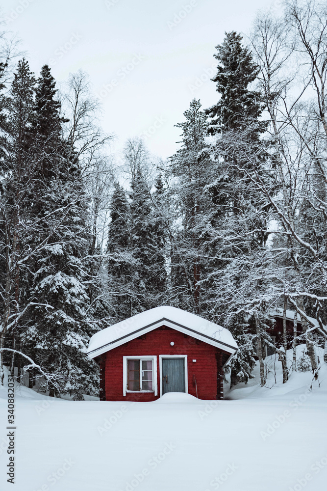 雪地森林中的红色小屋