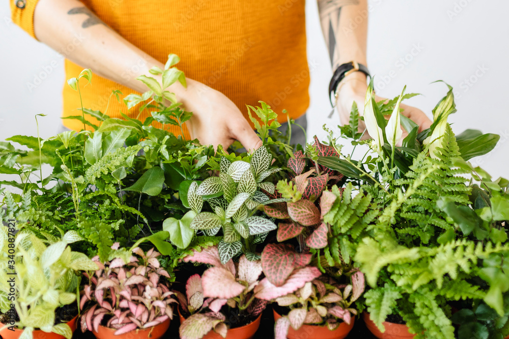 Woman tending to her plants