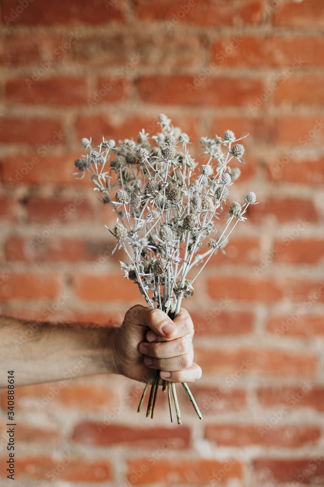 Dry flowers and twigs