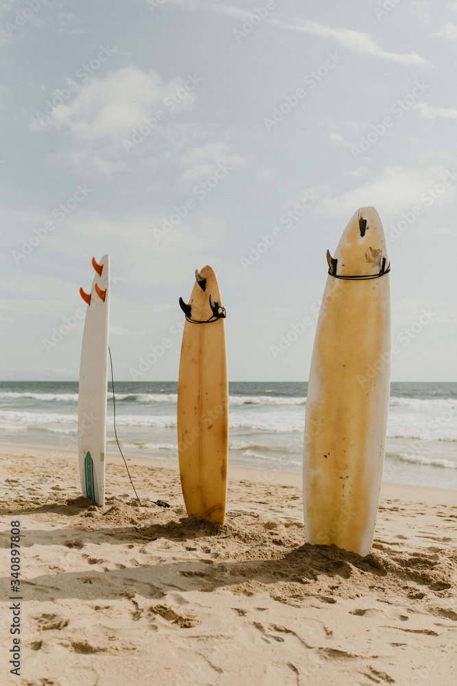 Three surfboards no people