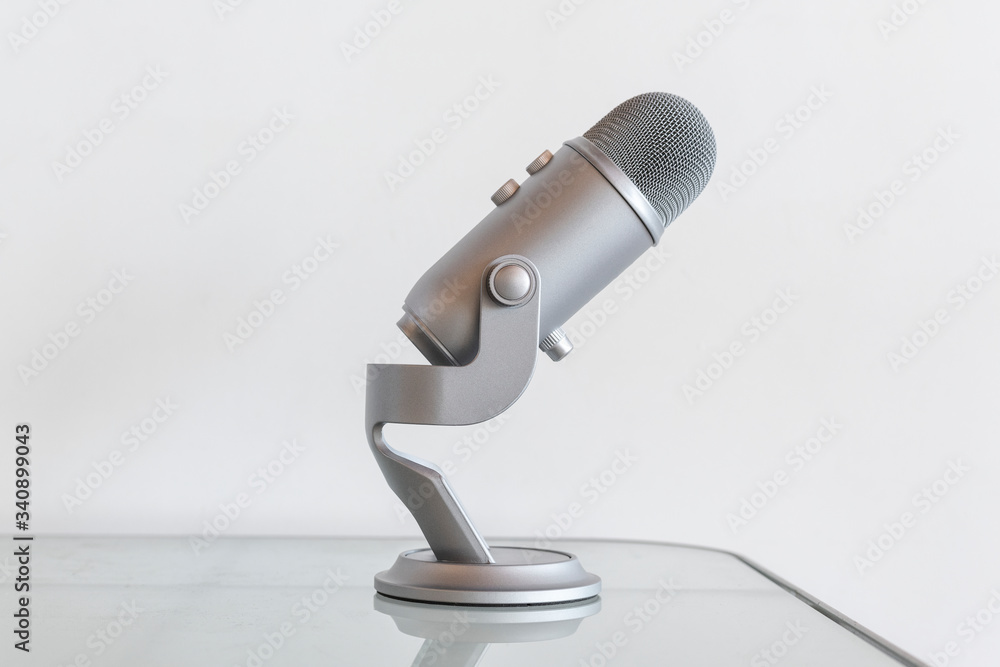 Stainless steel studio microphone