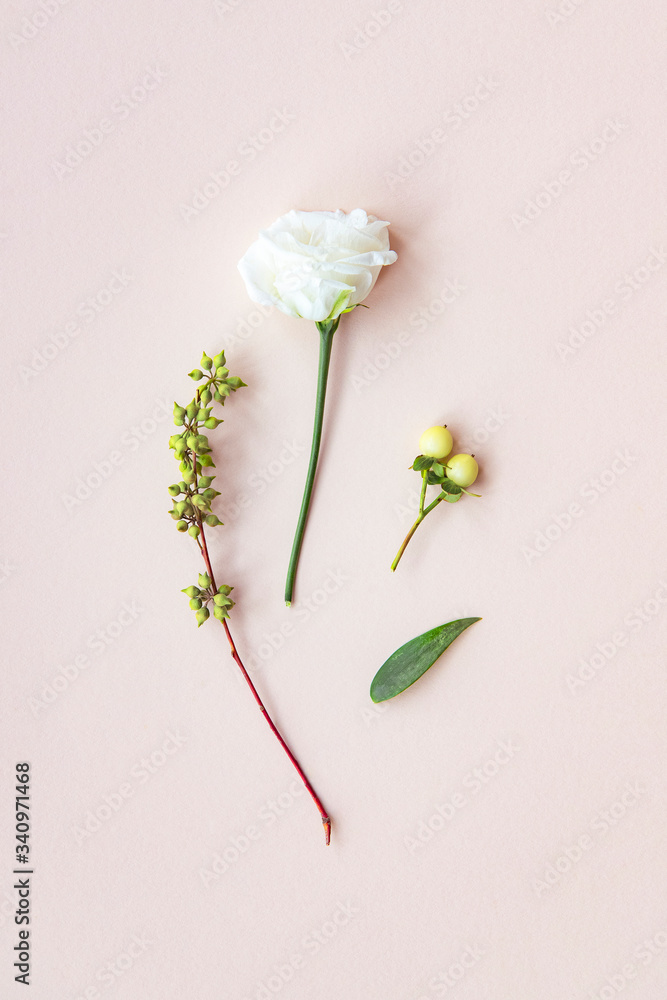 White flowers on pink