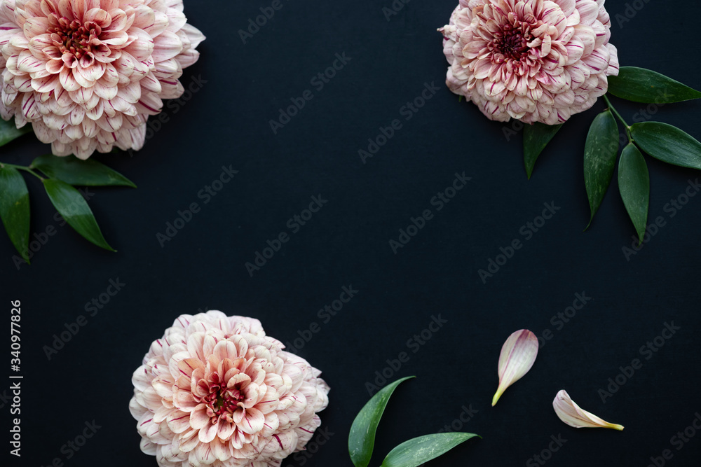 Fresh flower background