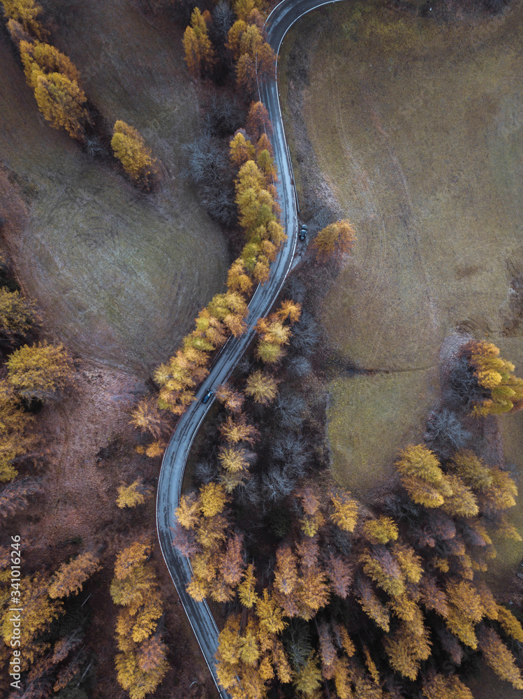 穿越意大利阿尔卑斯山的道路