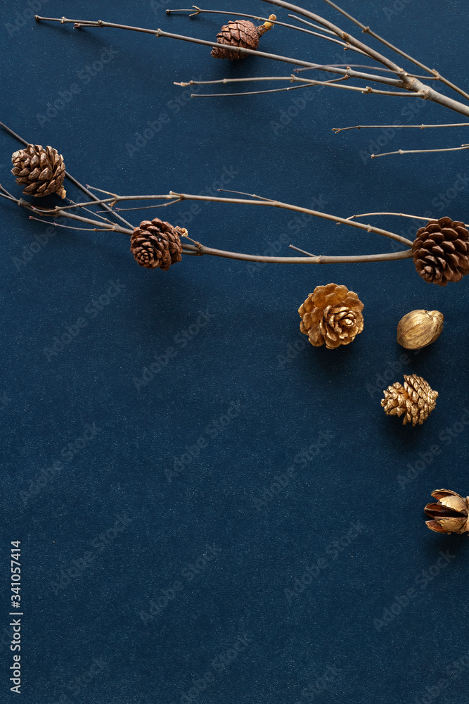 Minimal dried Christmas pine cones