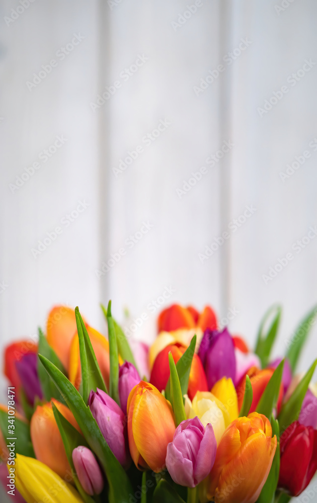 Colorful bouquet of tulips on white wooden background. Spring flowers. Greeting card with copy space