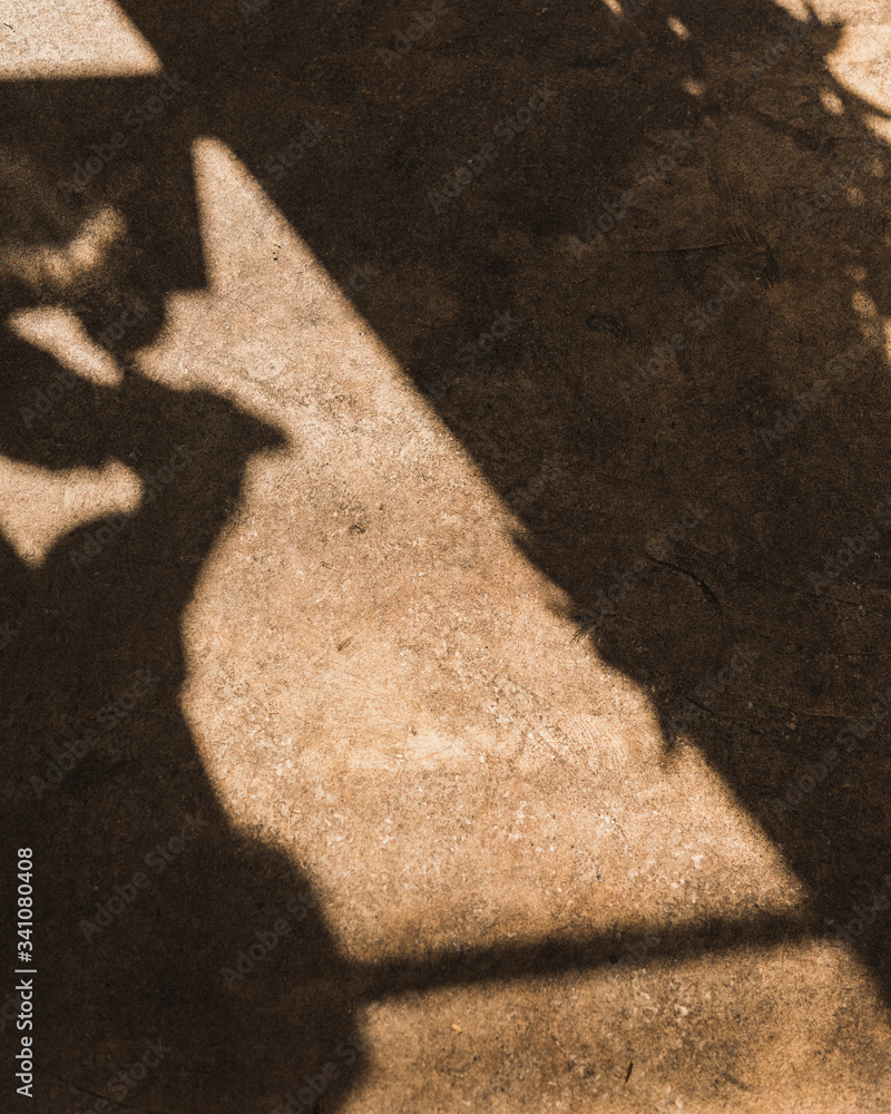 Summer shadows on a warm concrete road