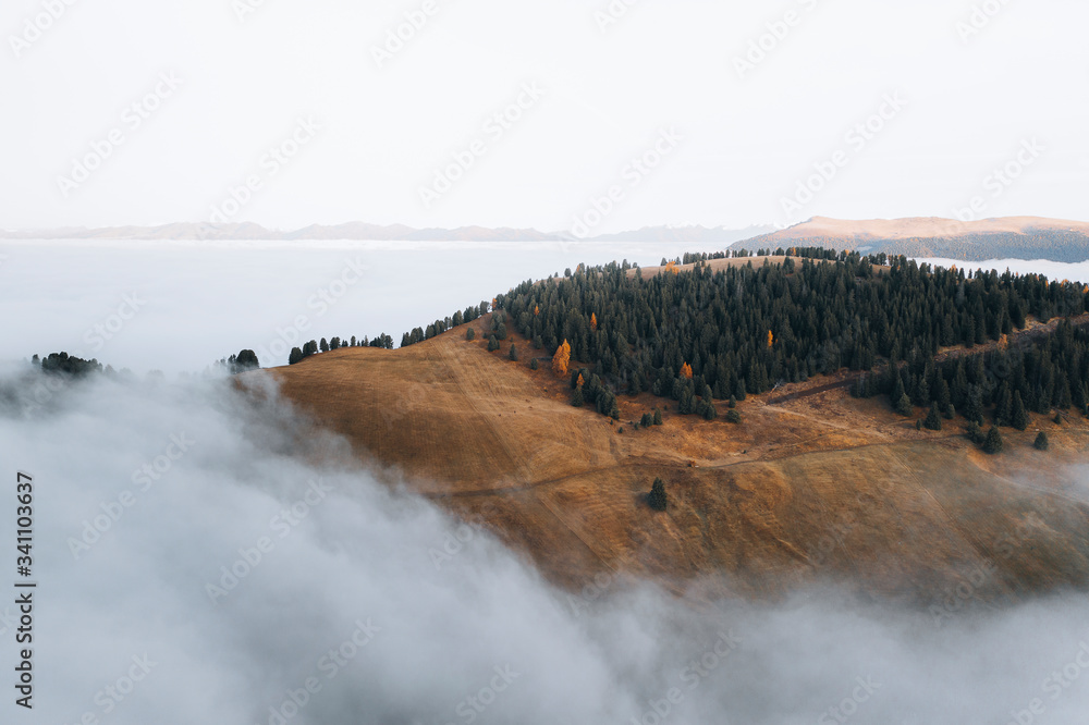 Misty mountain top