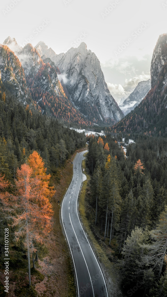 Road in Dolomites valley mobile background