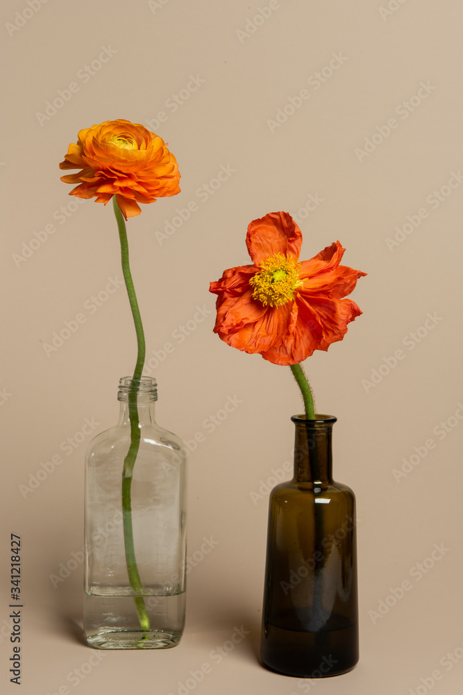 Blooming orange ranunculus flowers in a bottle vase